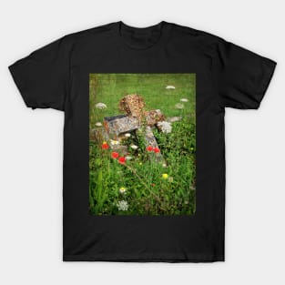 It Is Not Spring For Everyone T-Shirt